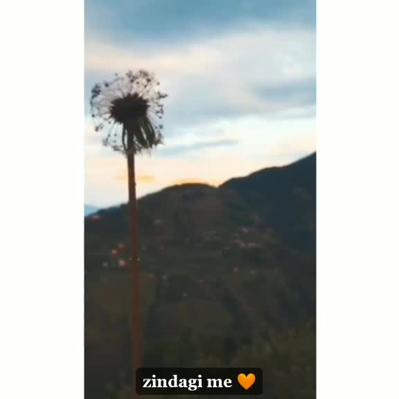 @💥pglu💥