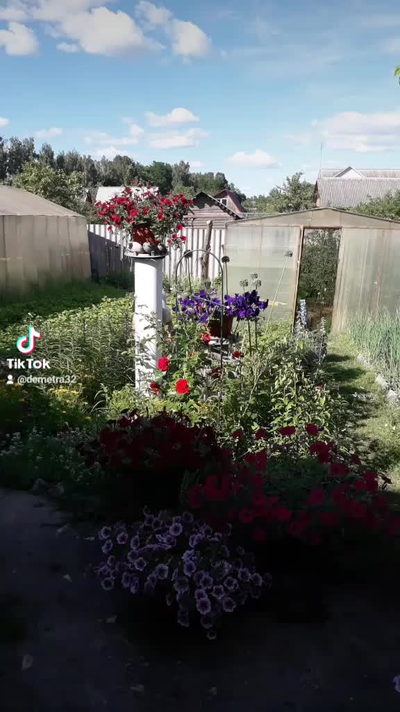 @Светлана Шахбалаева