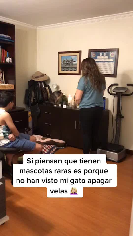 @LA MONAA