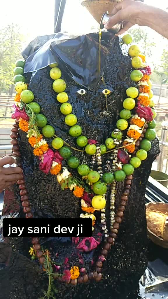 @13_vivek