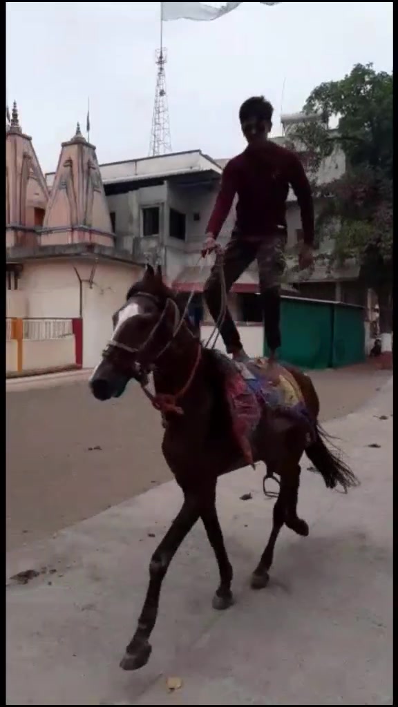 @Pranav_mesvaniya