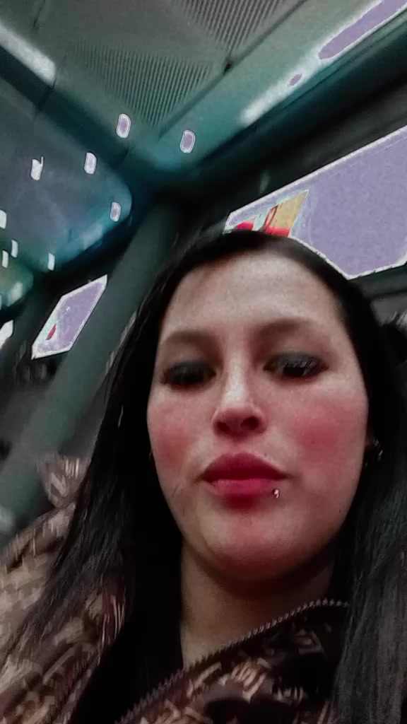 @stefi