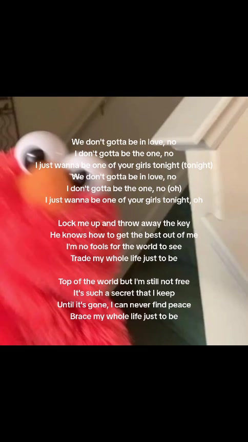 @🪿