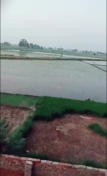 @Satinder 792