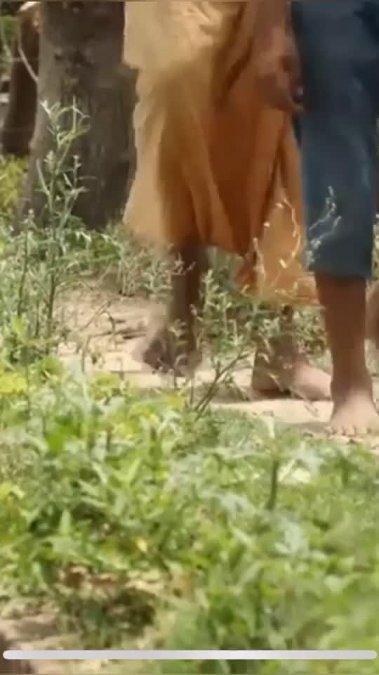 @Indra Srivastava
