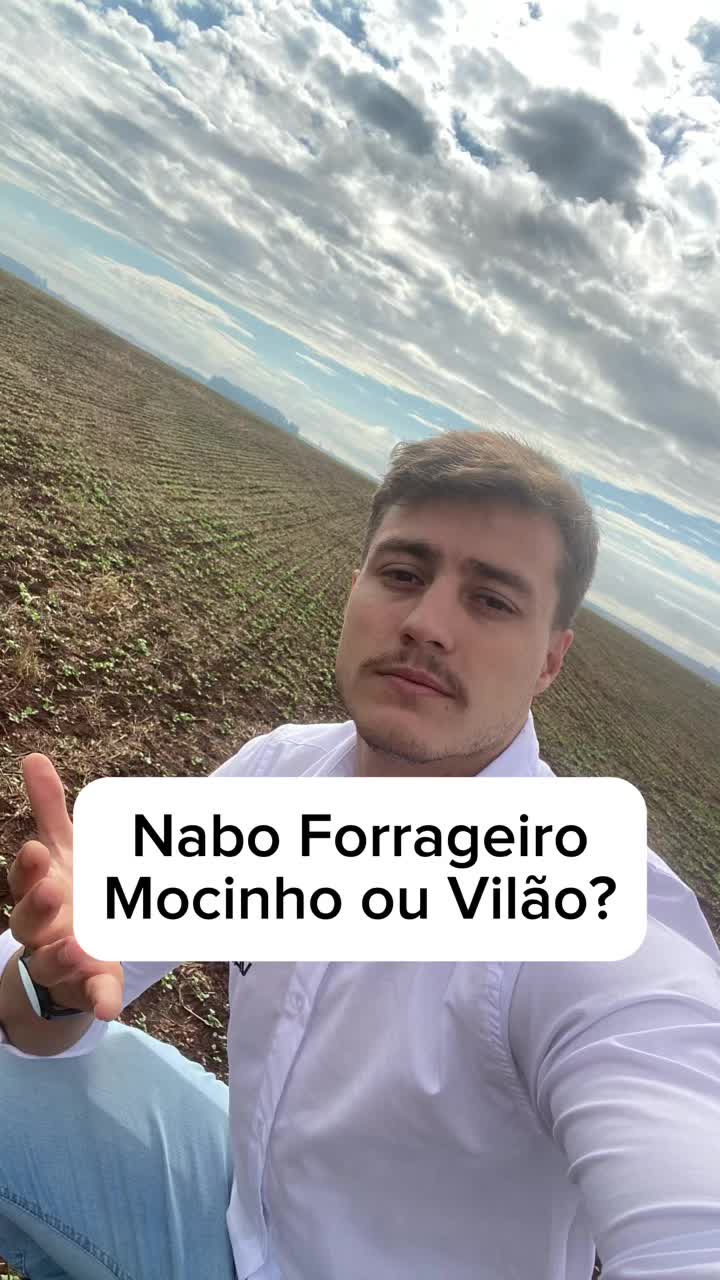 @Andrei Zapani