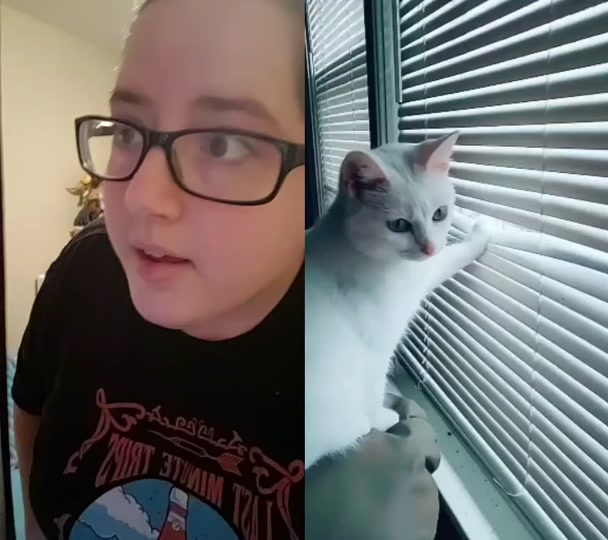 @CrazyCatLady
