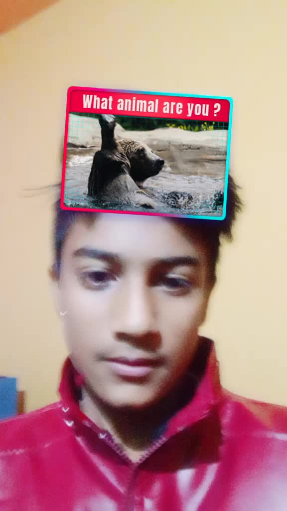@coolerfan06