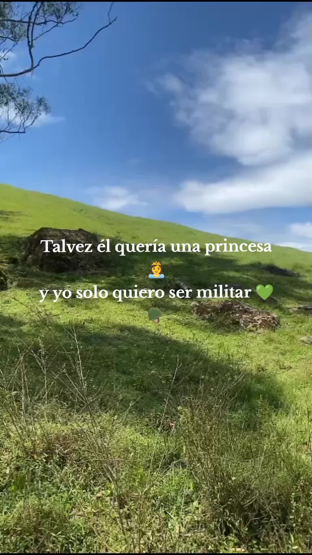 @Lady.