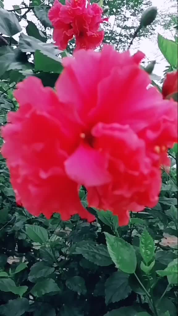 @Sardha143