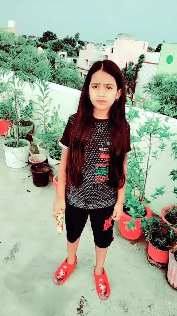 @Anjali Rao
