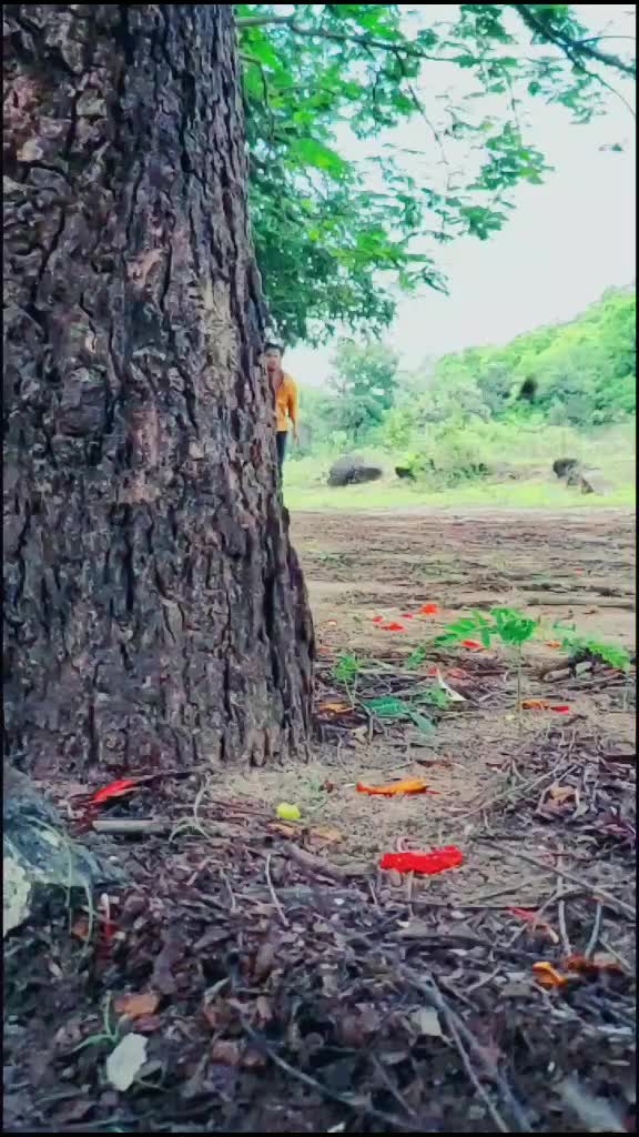 @ArvindSolanki005