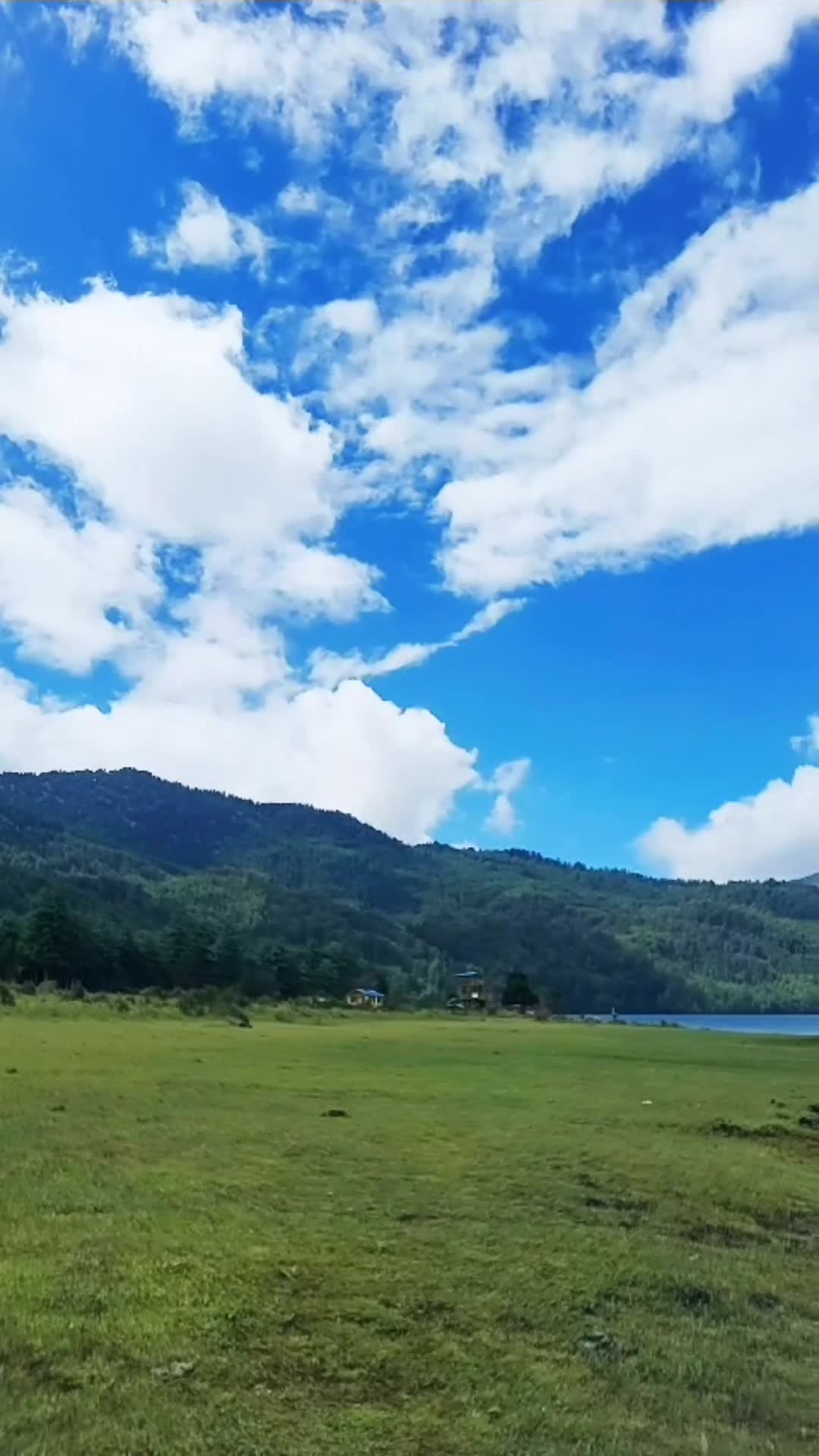 @vandri_pratik