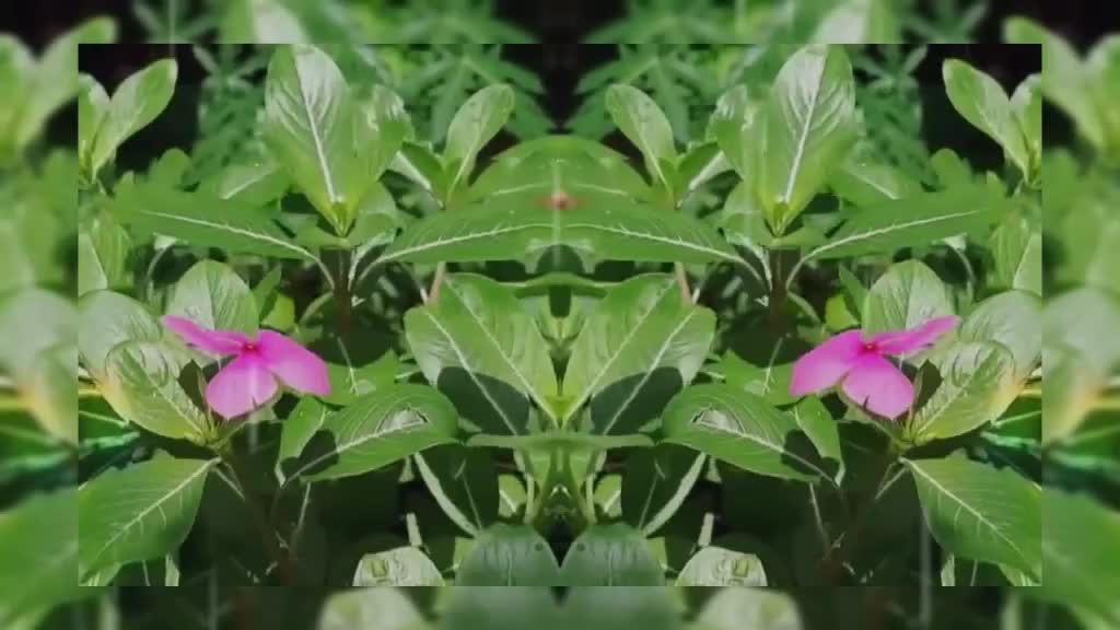 @Aʌĸʌsʜ Æĸƴ