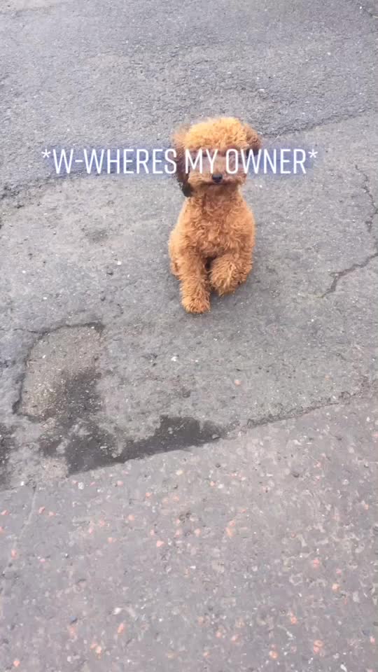 @𝚂𝚙𝚒𝚔𝚢 𝕓𝕖𝕟𝕛𝕚 ᑭᗩᑕO