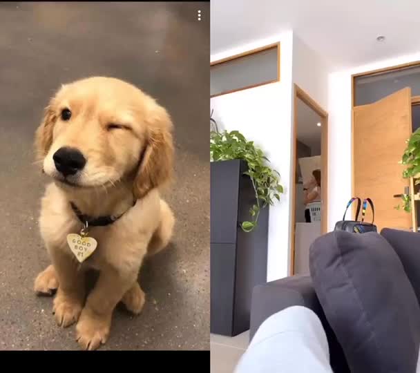 @jesuisunchienlol