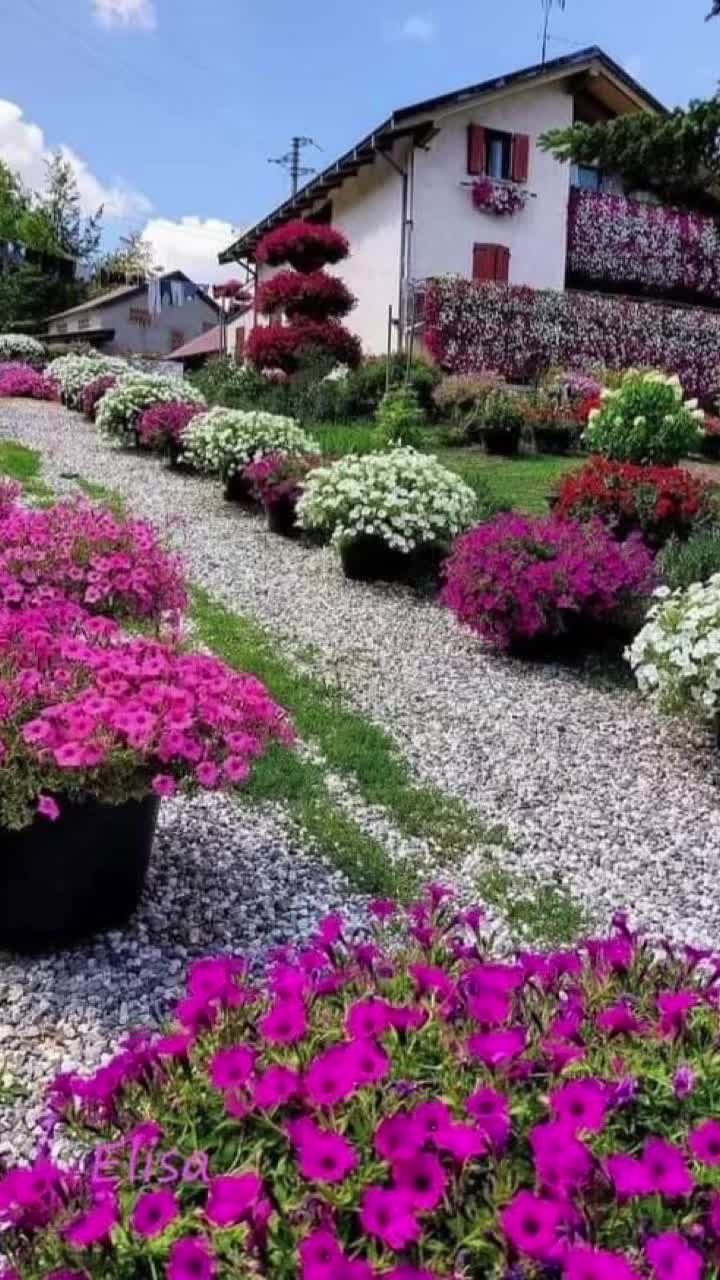 @Tiktokerka