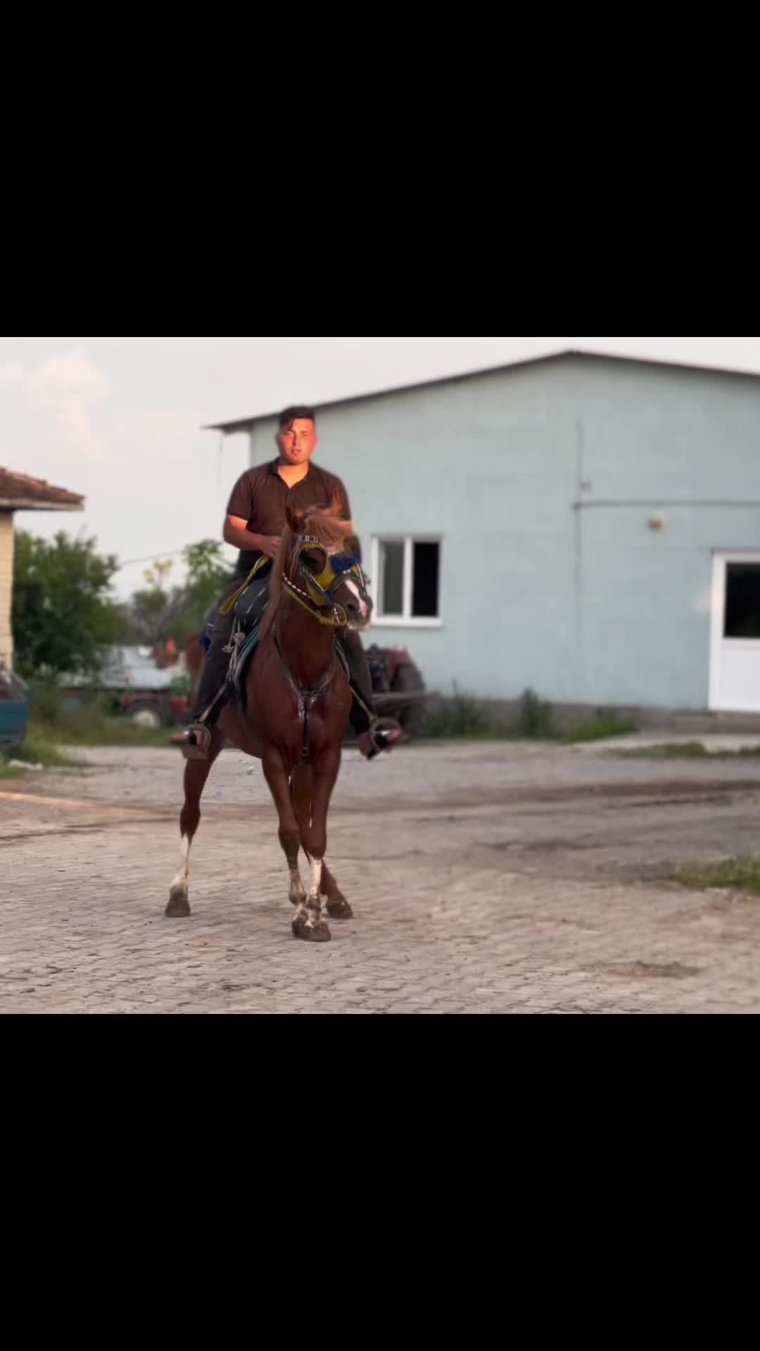 @Emre &Ccedil;&uuml;men 