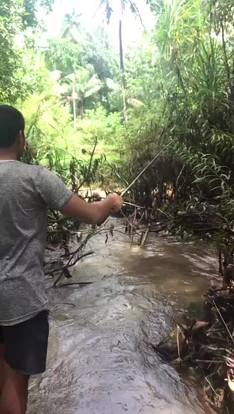 @Akshay Naik