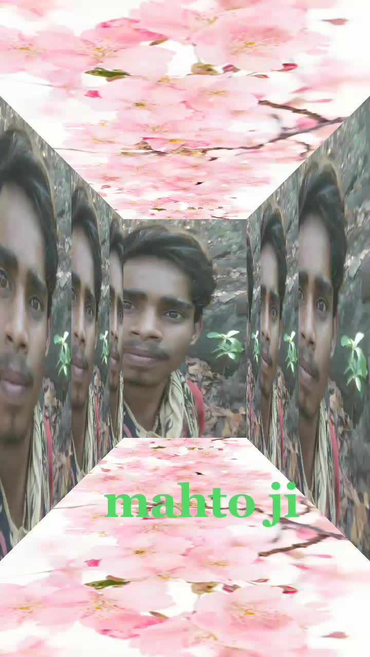 @Bicky Bicky