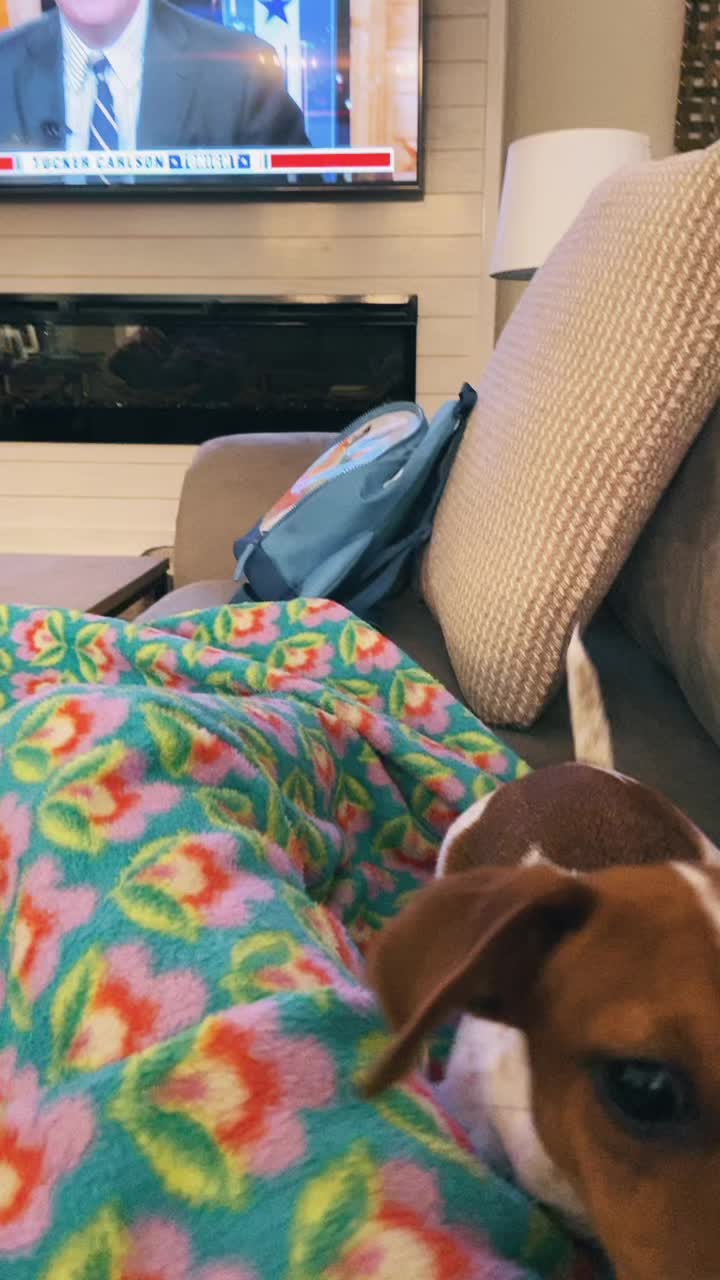 @emmalyn444