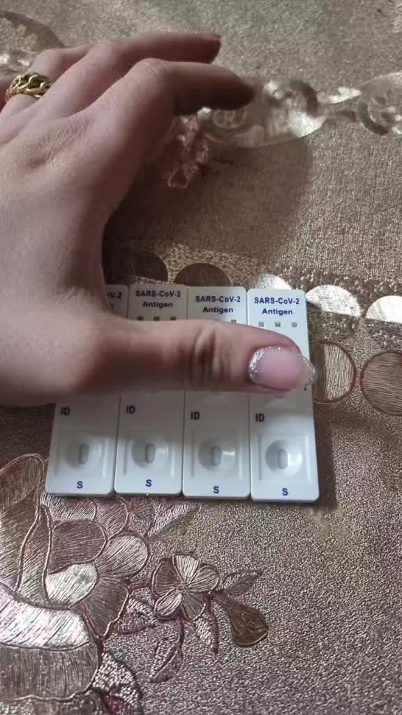 @الاء زيدان سكران محاميد