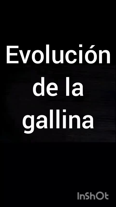 @🇲🇽Laniakea1707🦕