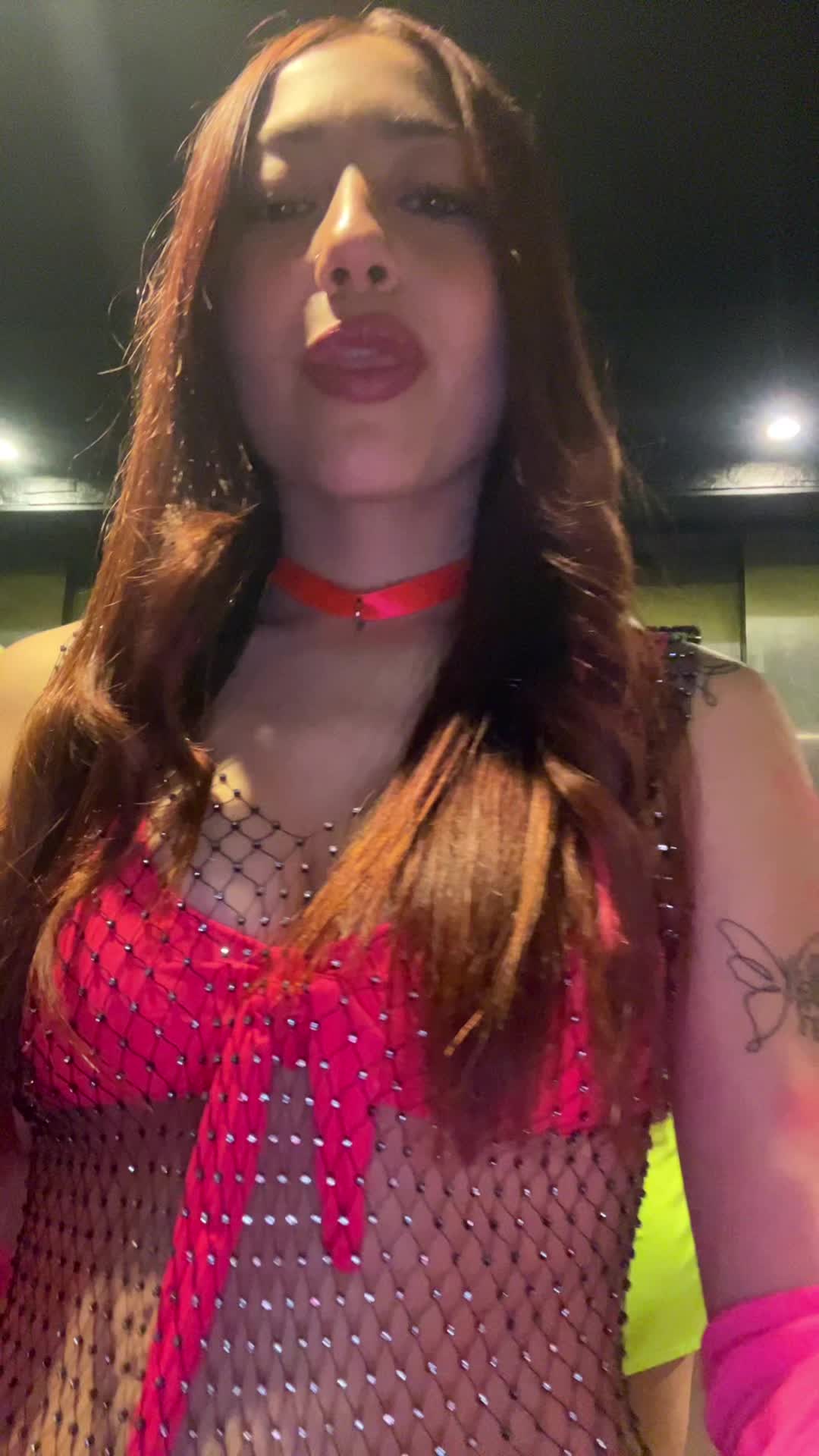 @contuu🦕
