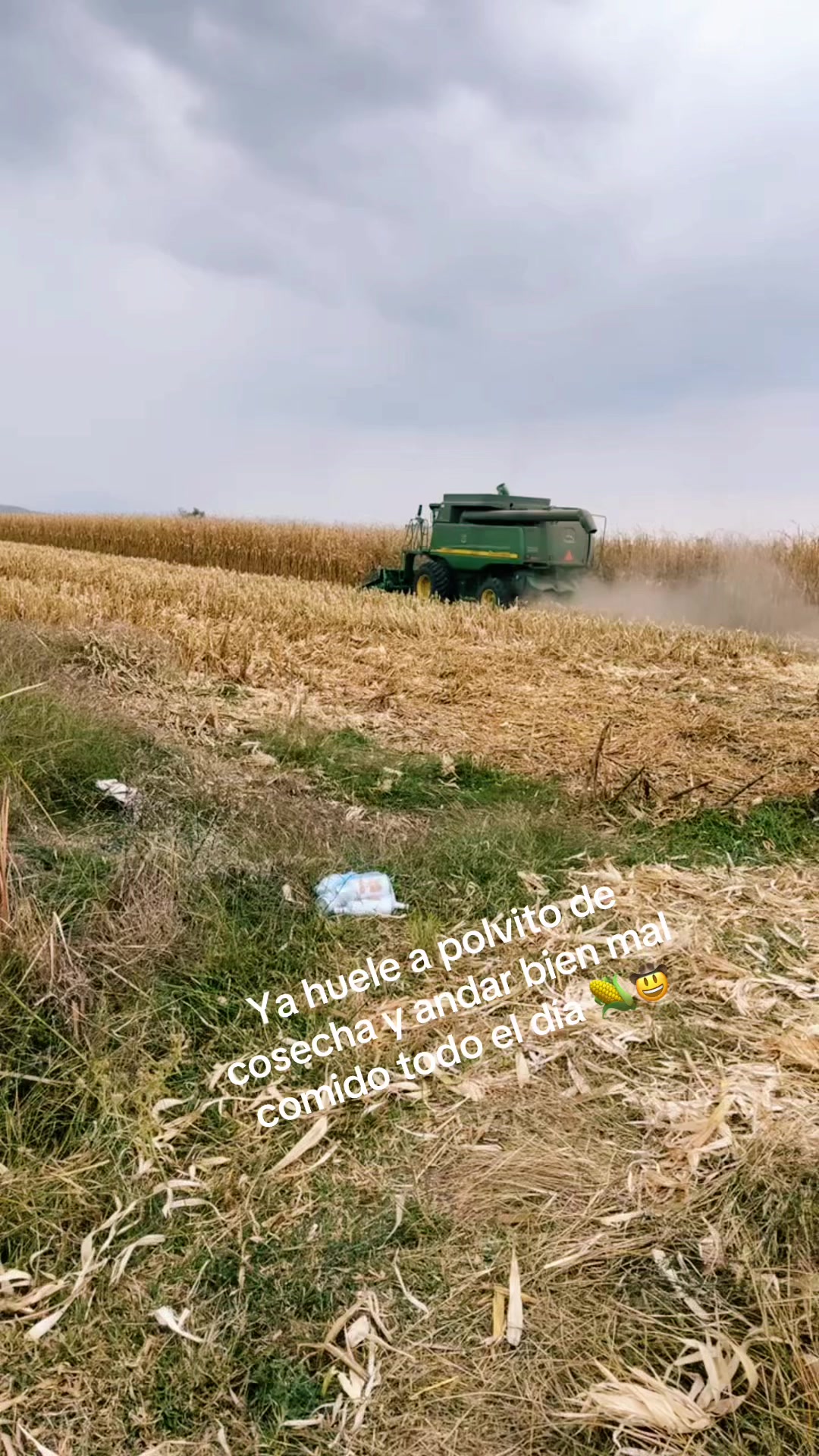 @Pablo Do&ntilde;ate 🤠
