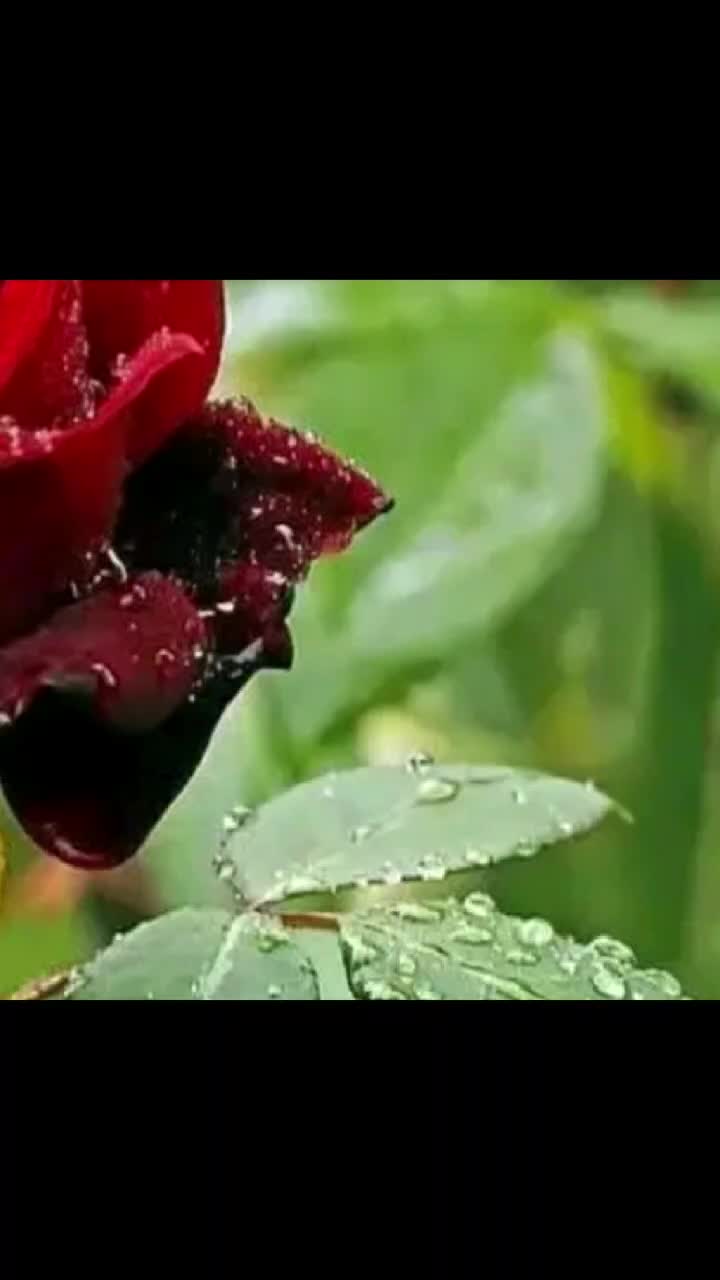 @Manjunath Manjunath