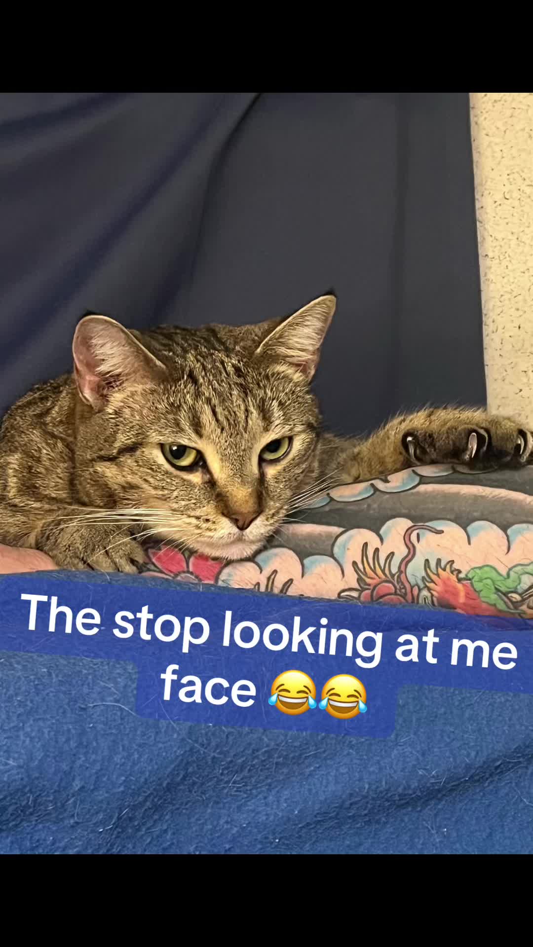 @CoolKittyGirl76