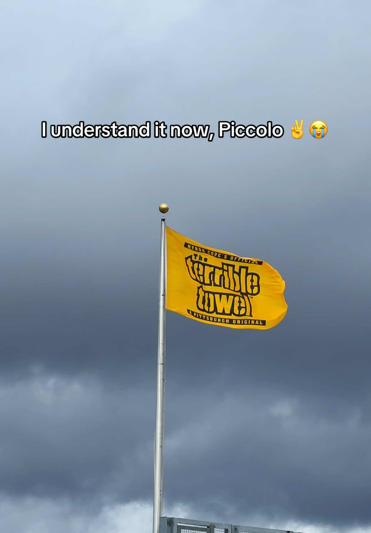 @Pittsburgh Steelers