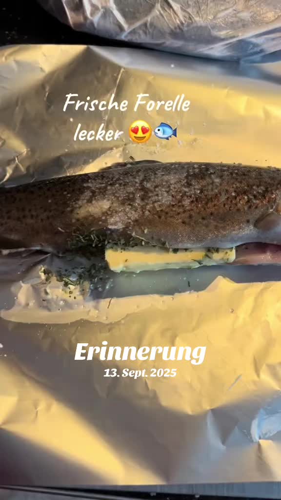 @Heinelieschen 🪶Team Hawker🪶
