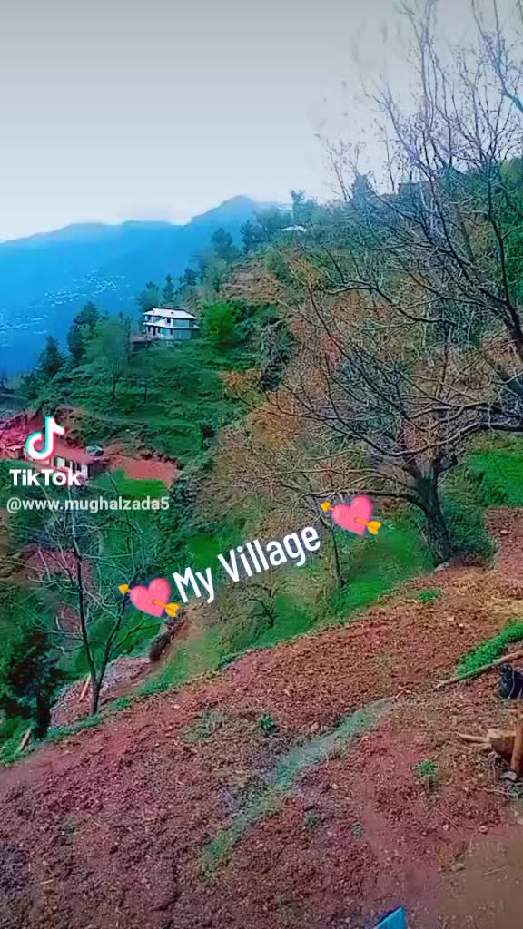 @🕌lslam🕋ki🕍 shehzadi🌃