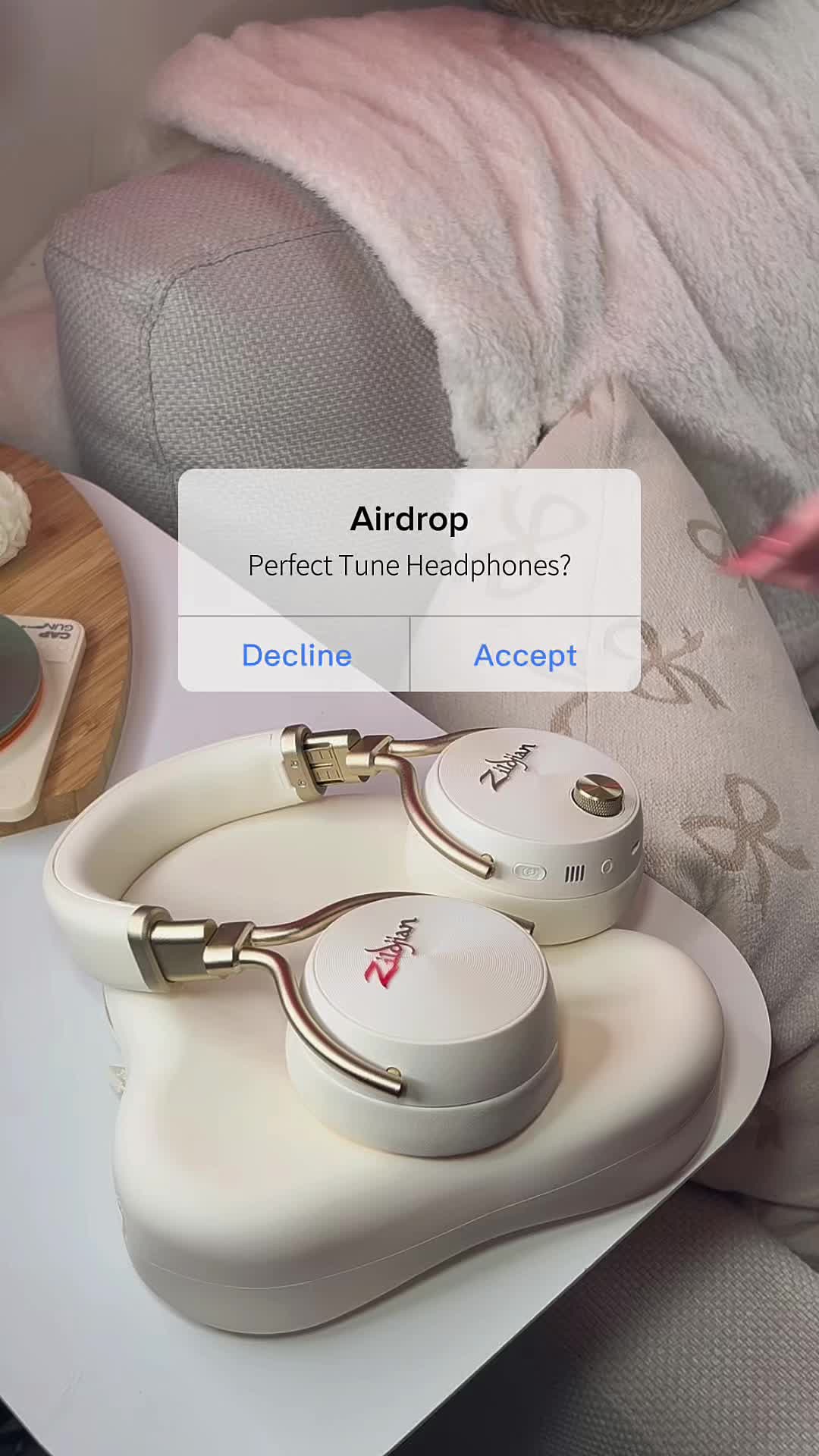 @Rengi 🧬