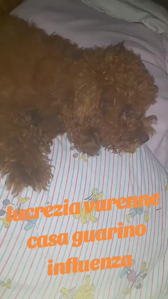 @titty margo lucrezia