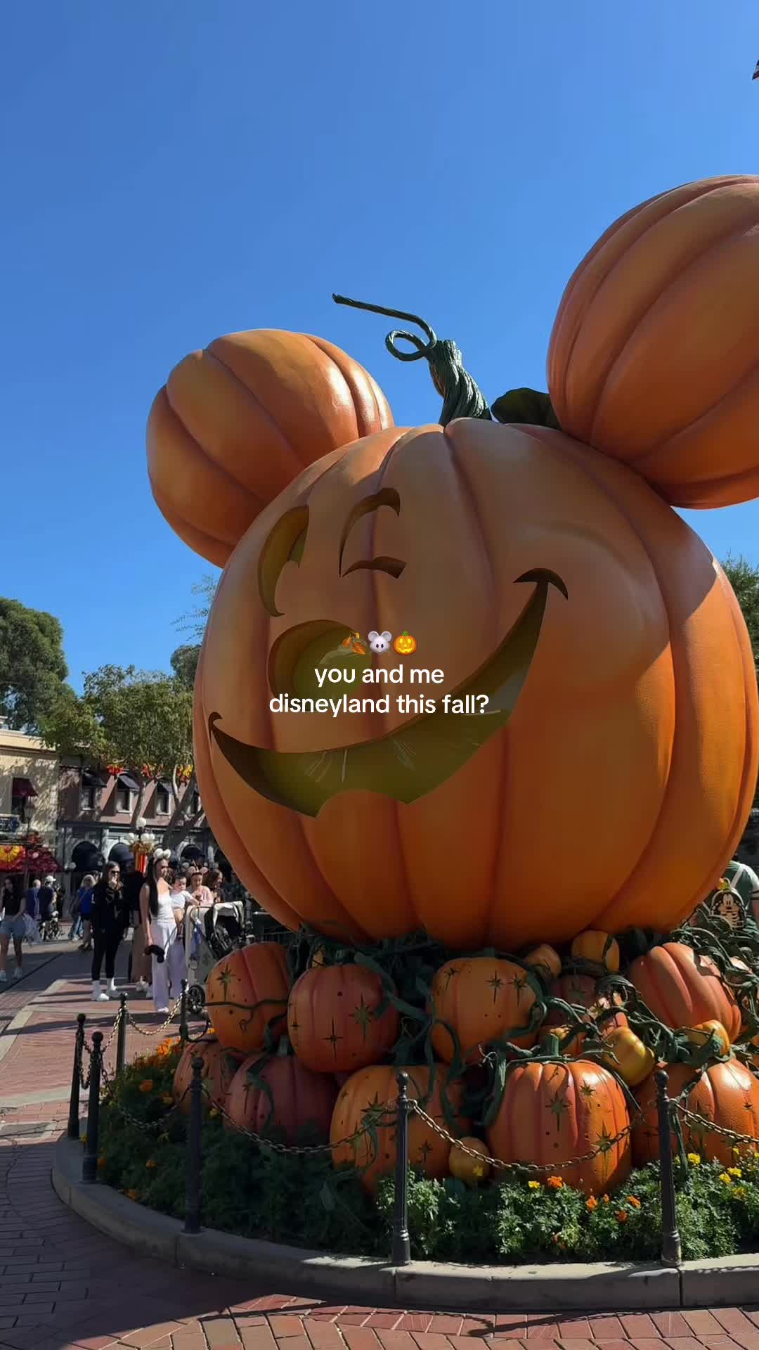 @alyssa 🍂