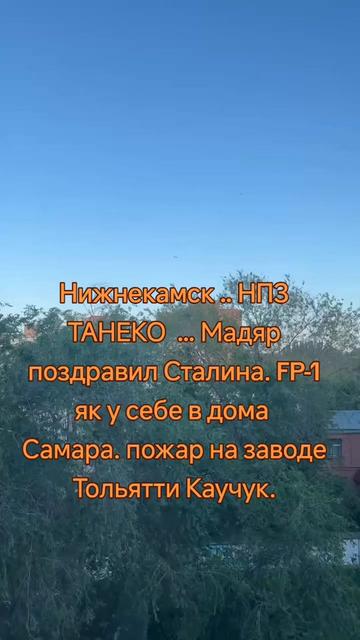 @Sofia