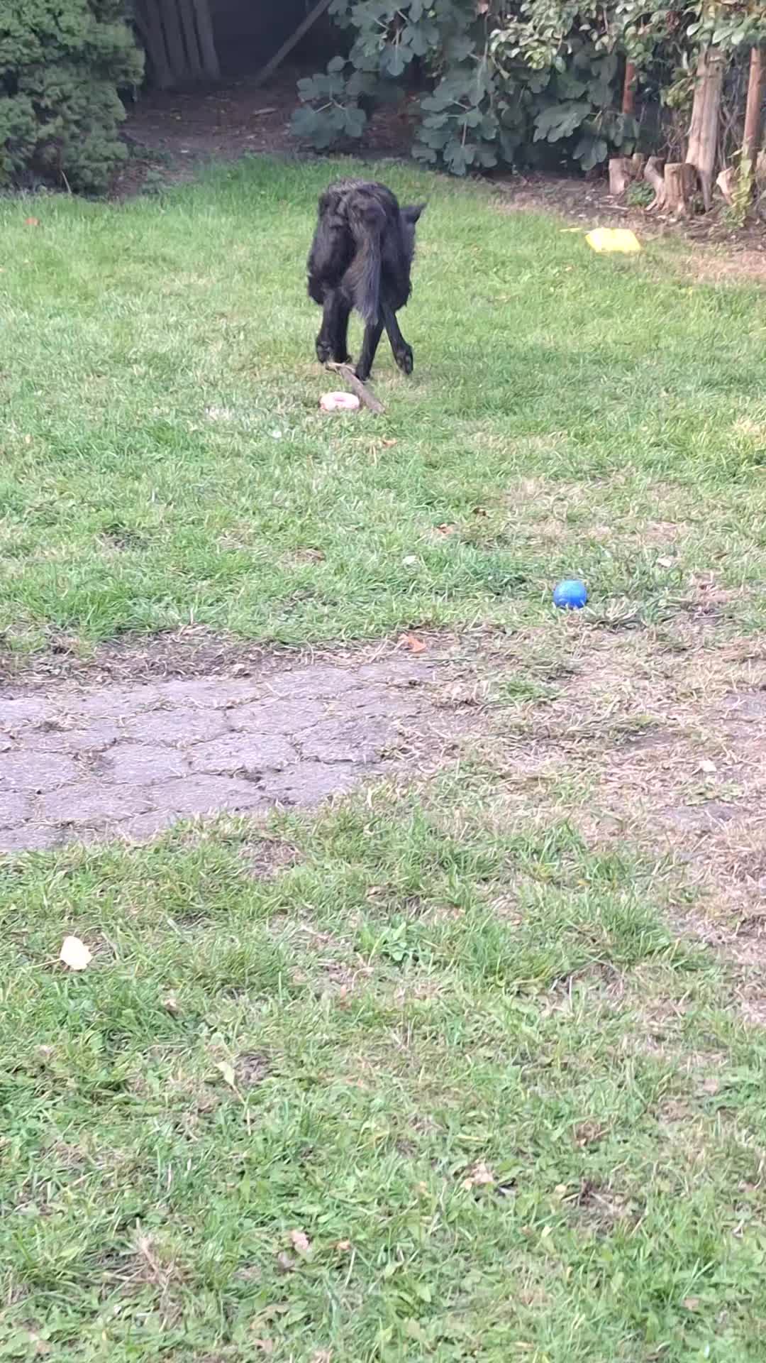 @Strobelmix Frauchen