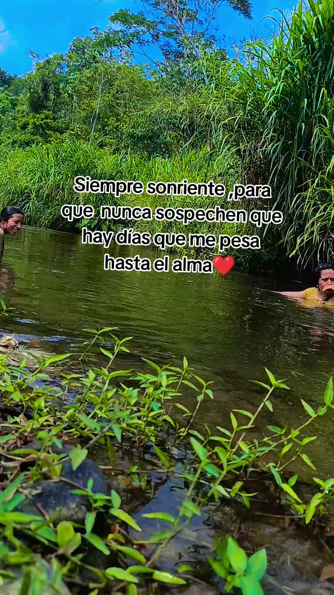 @❤️Anasus ❤️