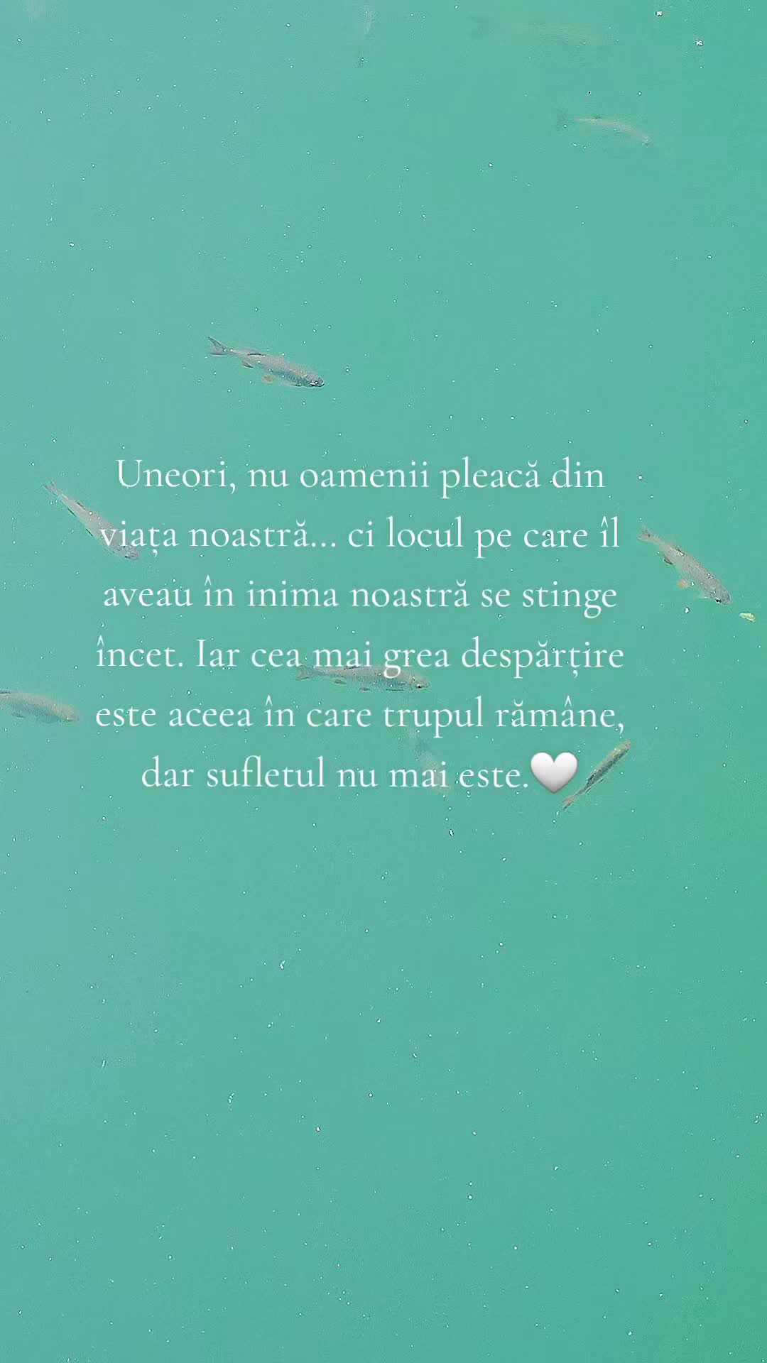 @♡ Gânduri care rămân ♡