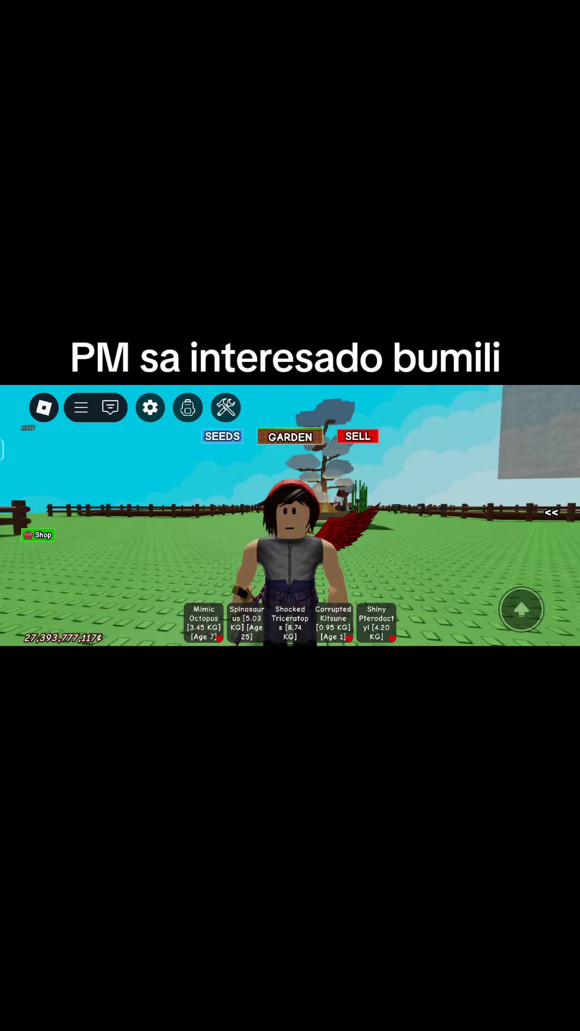 @NoctisLucis29