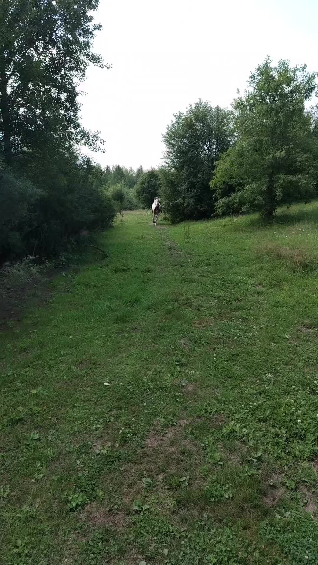 @Бурмакина Дарья