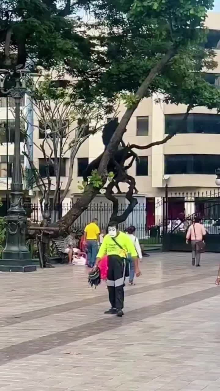 @mus