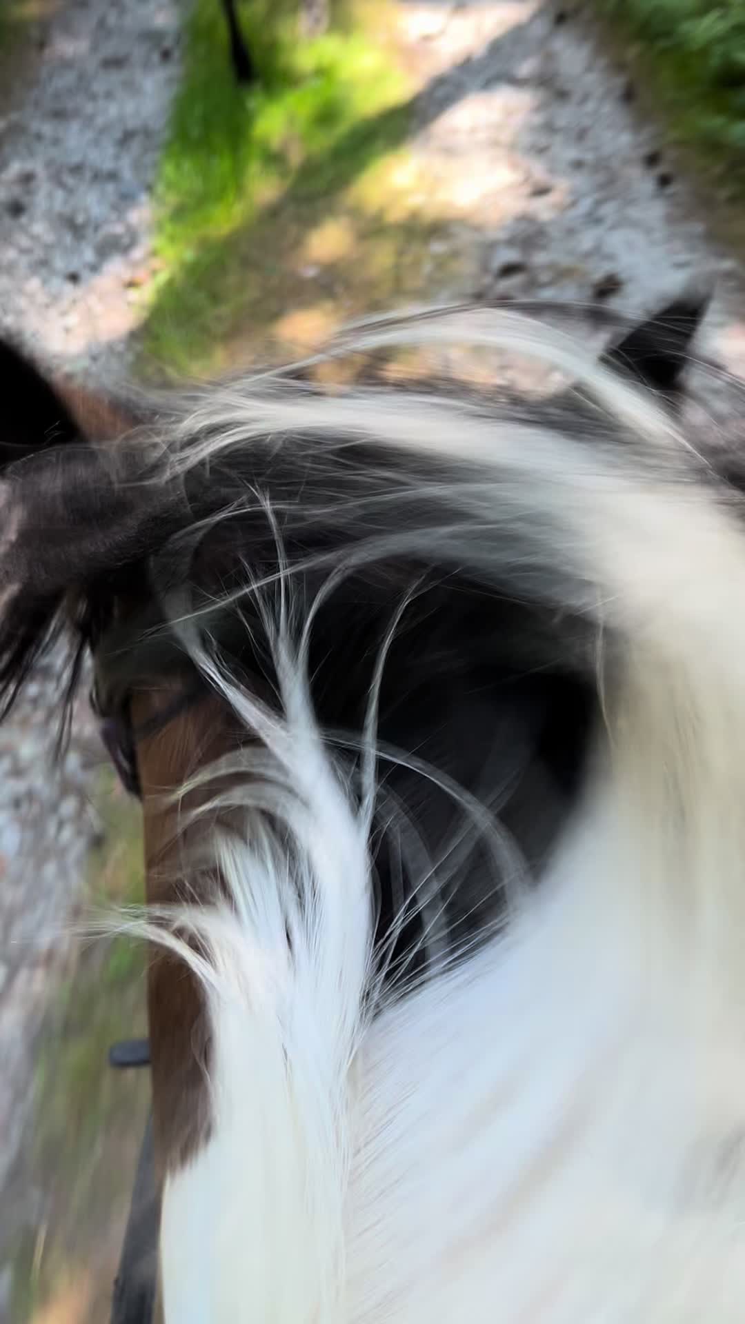 @𝘍𝘪𝘯𝘫𝘢 🪐