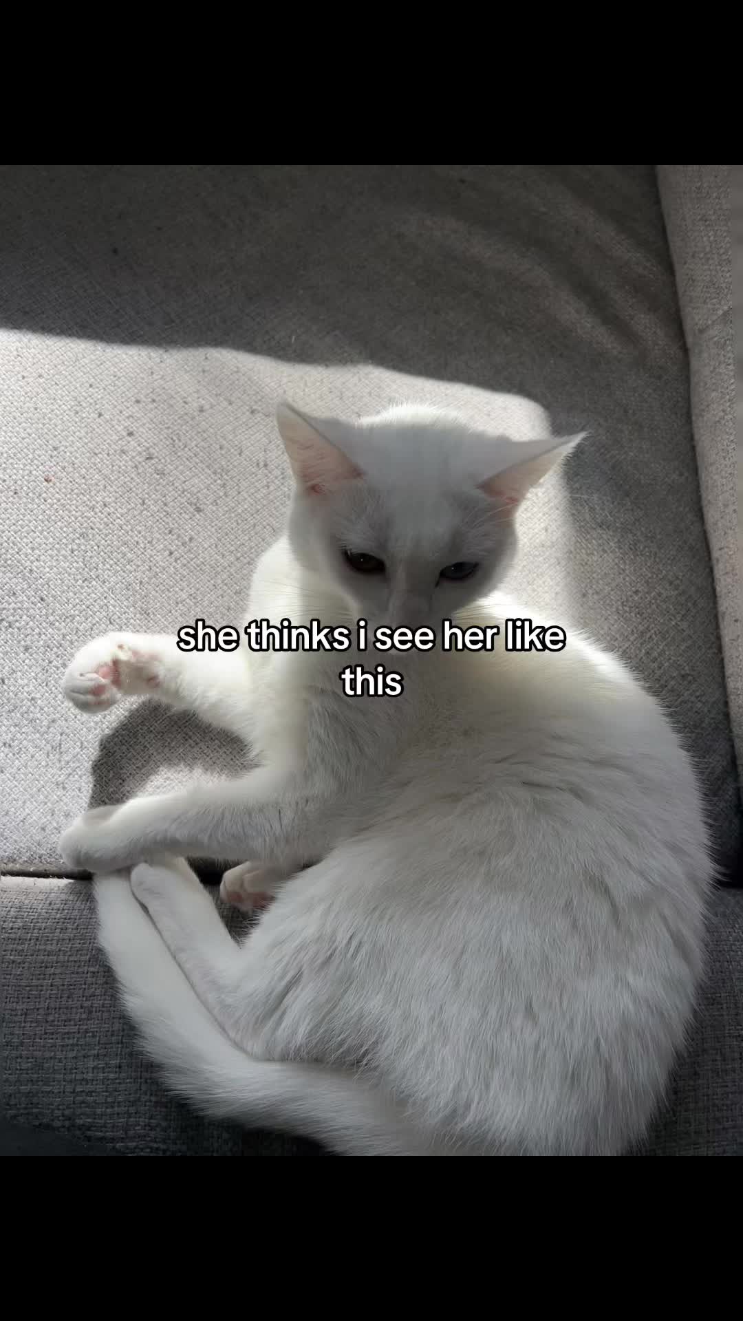 @𝐙🪽
