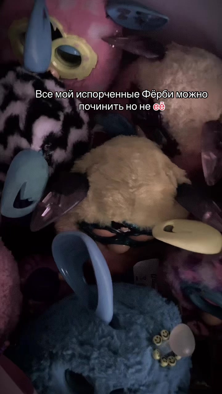 @🍥🍵фёрби Баунти(> w <)🍙🍢