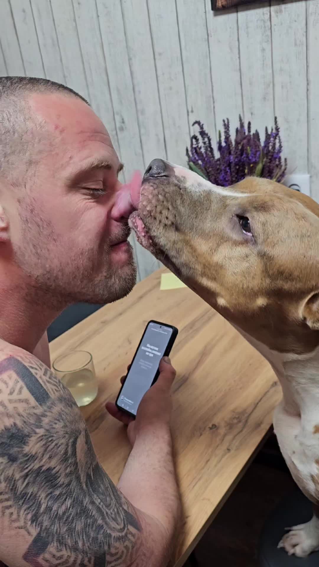 @Pitbul Fred