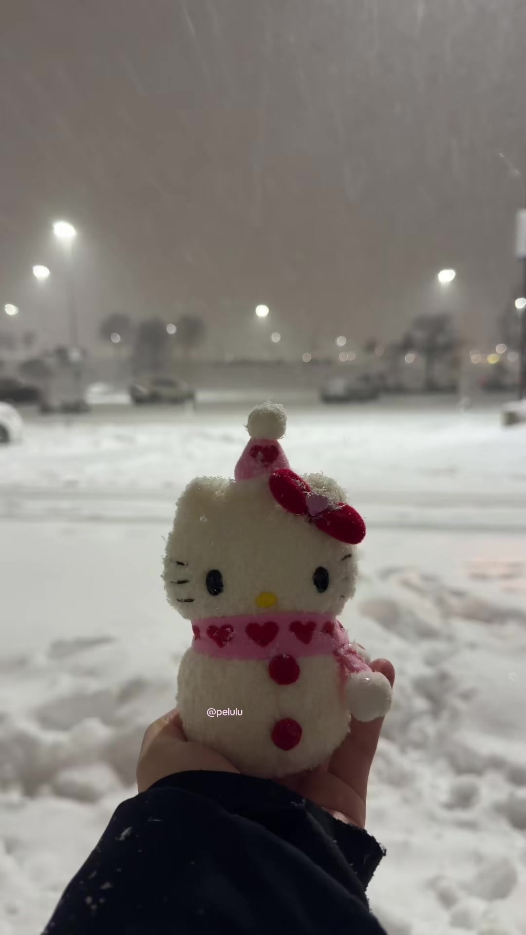 @Pelulu💗