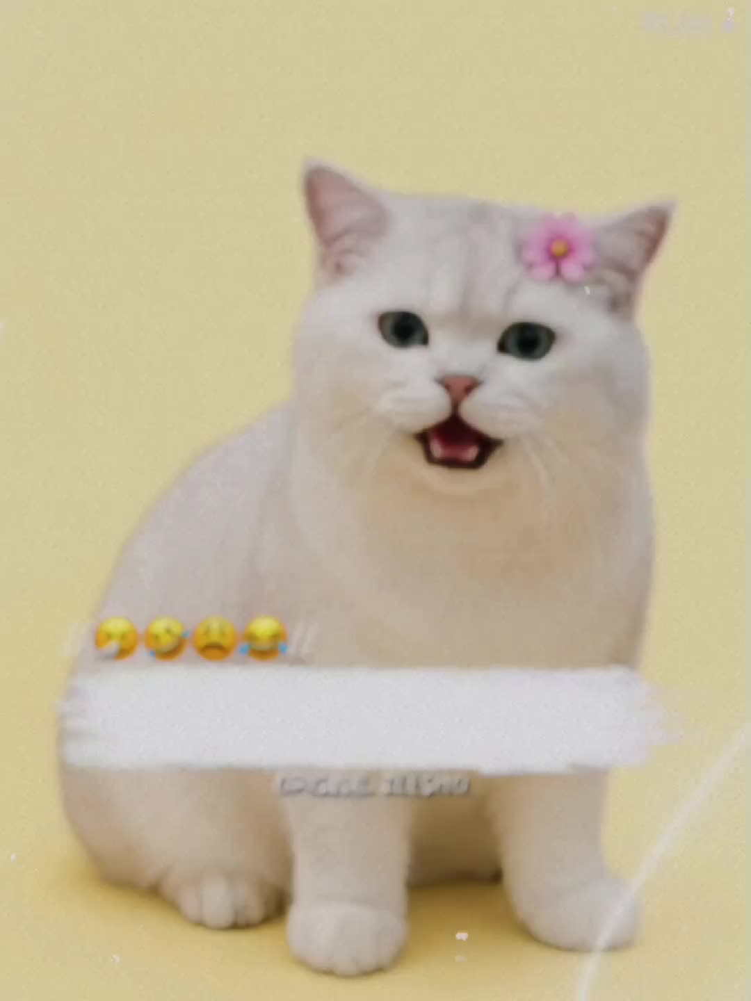 @🔥ᴢᴇᴇsʜᴏ ᴀʀᴍʏ🔥